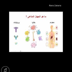 ba12409d-6856-4b24-bdef-3cb529cc7314 (1)